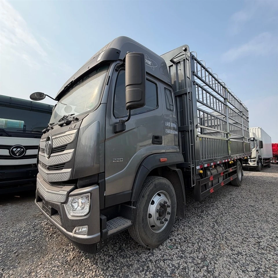 Lichte vrachtwagen met inzet-carrosserie